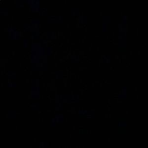 Meet your Posher, Abdel